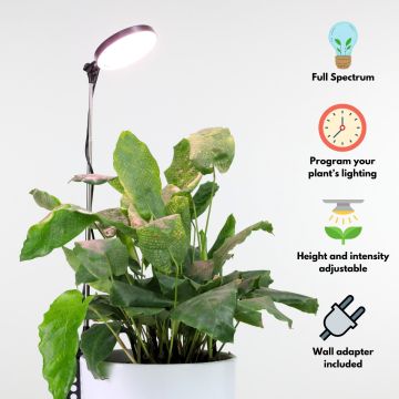 Mossify Adjustable LED Plant Light