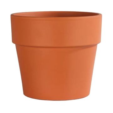 Border Concepts, German Calima Pot, Terracotta, 11"