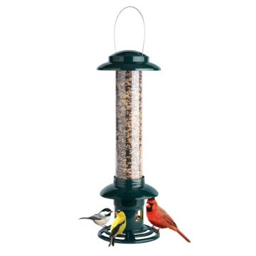 Brome Squirrel Buster Evolution Squirrel-Proof Bird Feeder