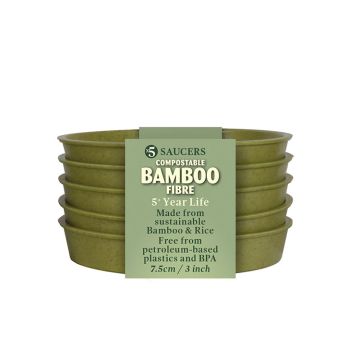Green Bamboo Saucer, set of 5