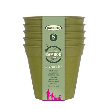 4" Green Bamboo Pot, set of 5