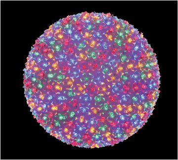 LAMPHOME LED 8" Twinkling Sphere Flashing LED Lights Ornament Indoor and Outdoor Decorations 