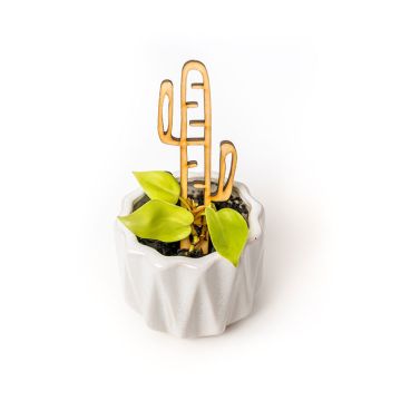 Treleaf Mini Cactrella – Cactus shaped houseplant trellis