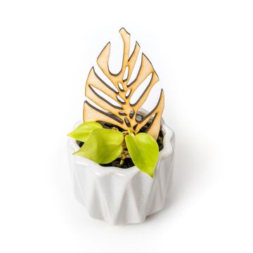 Treleaf Mini Monstrella – Monstera leaf shaped houseplant trellis