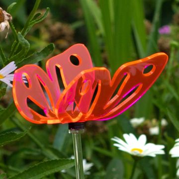 Large Pink Butterfly