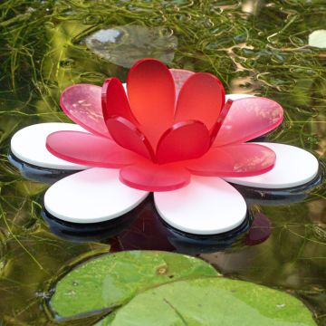 Reds Floating Lotus