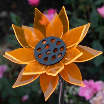 Medium Orange Sunflower