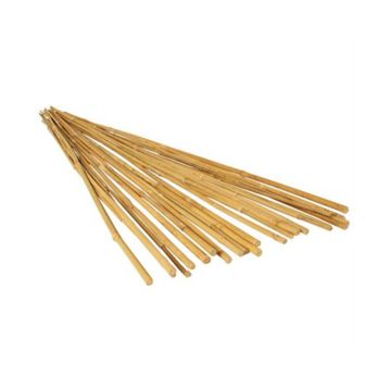 Bamboo Supply 6' Bamboo Stake