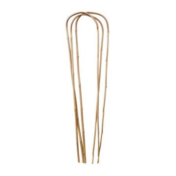 Bamboo Supply 48" Natural Bamboo "U" Trellis