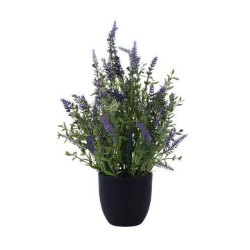 A&B Floral Potted Lavender Plant