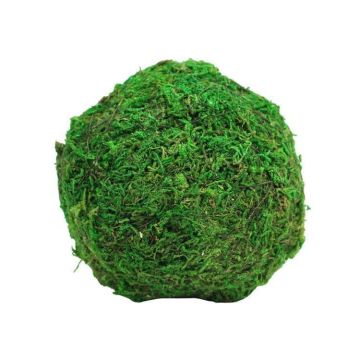 A&B Floral Moss Ball Pack of 6