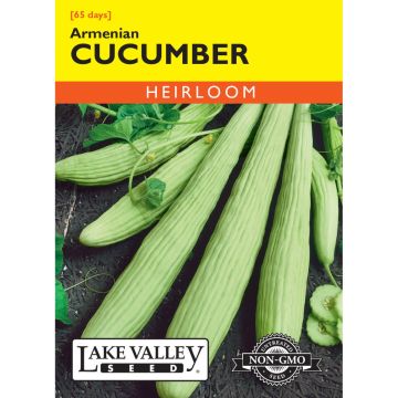 Cucumis, Armenian Cucumber Heirloom