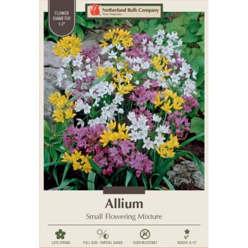 Allium Assortment, Mountain Bells