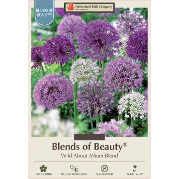 Allium Assortment, Wild About Allium