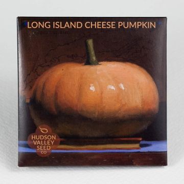 Cucurbita, Pumpkin, Long Island Cheese Pumpkin ~ 30 seeds