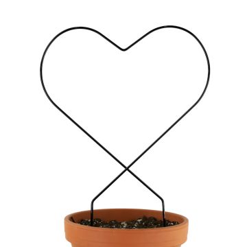 Mossify Heart "Give Love" Metal Trellis