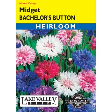 Centaurea, Bachelor’s Button 'Midget' Mixed Colors