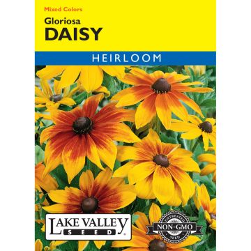 Rudbeckia, Gloriosa Daisy Mixed Colors