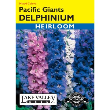 Delphinium 'Pacific Giants' Mixed Colors