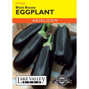 Solanum, Eggplant 'Black Beauty'