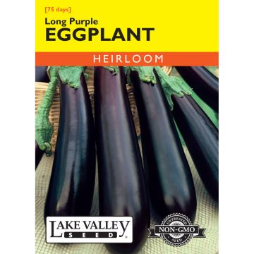 Solanum, Eggplant 'Long Purple'