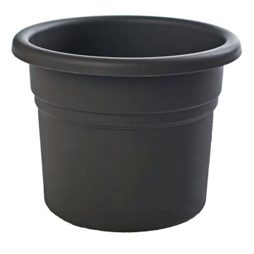 Bloem, Posy Planter, Black