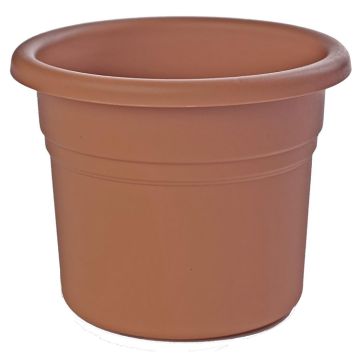 Posy 6-Inch Planter, Terra Cotta, by Bloem