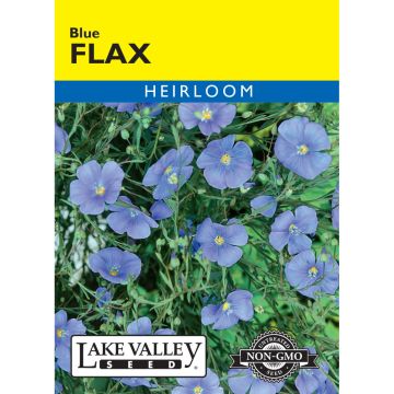 Linum, Flax 'Blue'