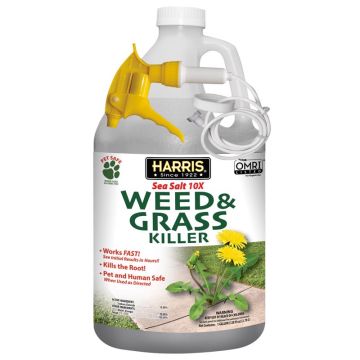 Harris Sea Salt Weed & Grass Killer Ready-to-Use 1 Gallon