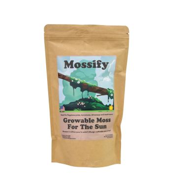 Mossify Growable Moss for the Sun