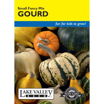 Cucurbita, Gourd Mix 'Small & Fancy'