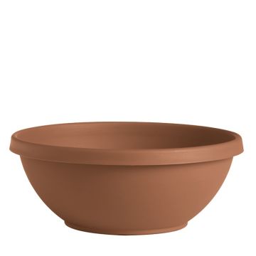 Bloem, Terra Bowl, Terra Cotta, 14"