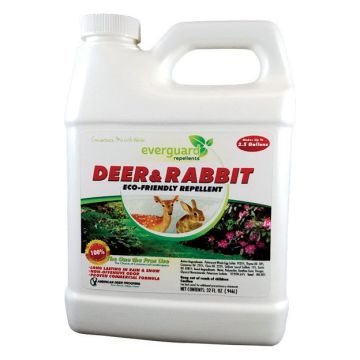 Everguard Repellents Animal Repellent For Deer and Rabbits Concentrate 1 qt