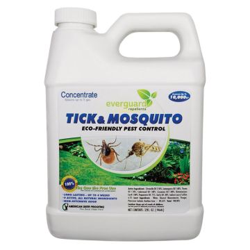 Everguard Repellents Insect Killer Concentrate 1 qt