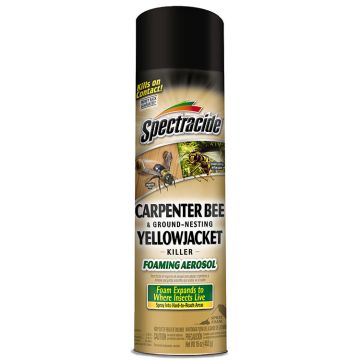Spectracide Carpenter Bee And Ground-Nesting Yellowjacket Killer Foaming Aerosol, 16 Ounces