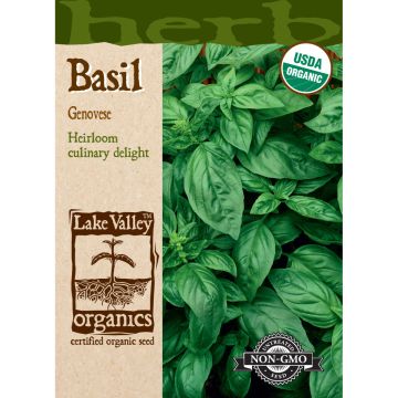 Ocimum, Basil 'Genovese' Organic Heirloom