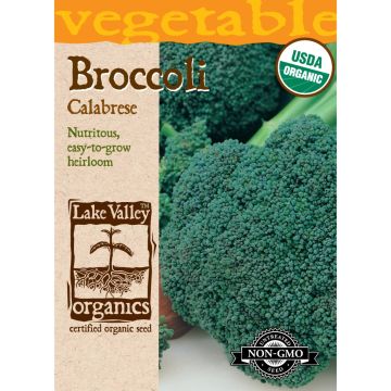 Brassica, Broccoli 'Calabrese' Organic Heirloom