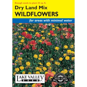 Wildflowers 'Dry Land Mix'