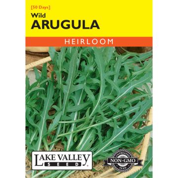 Diplotaxis, Arugula 'Wild' ~ 0.25g