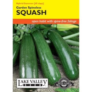 Cucurbita, Squash (Summer) Garden Spineless Hybrid