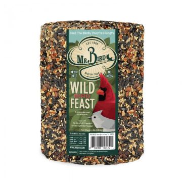 Mr. Bird, Wild Bird Feast Suet Cylinder, Large