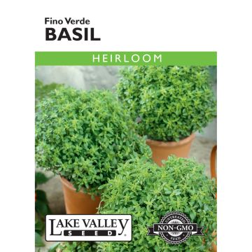 Ocimum, Basil 'Fino Verde' Heirloom