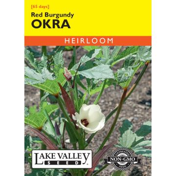Abelmoschus, Okra 'Red Burgundy' Heirloom