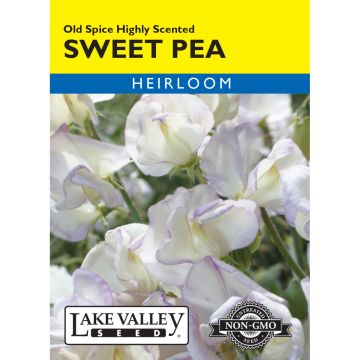 Lathyrus, Sweet Pea 'Old Spice' Highly Scented