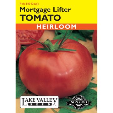 Solanum, Tomato (Pole) 'Mortgage Lifter'
