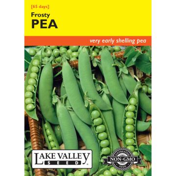 Pisum, Pea Bush 'Frosty'