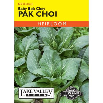 Brassica, Pak Choi 'Baby Bok Choy'