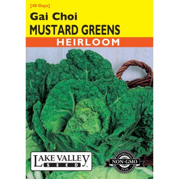 Brassica, Mustard Greens 'Gai Choi' Heirloom