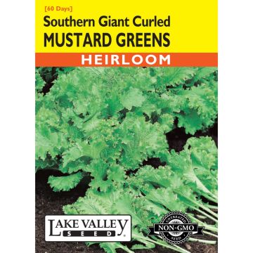 Brassica, Mustard Greens 'Southern Giant Curled' Heirloom