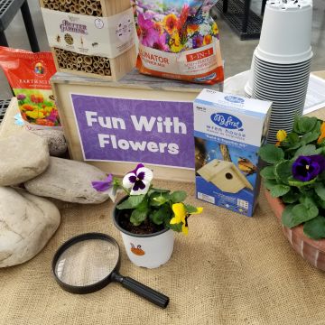 Plant a Pansy & More | Friday April 3rd at 12pm